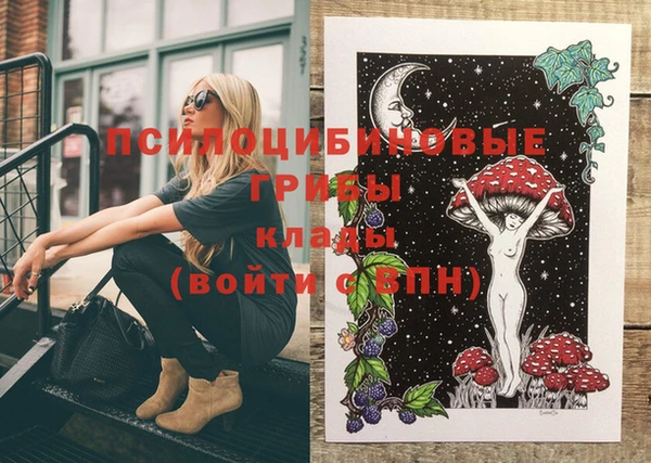 ECSTASY Волоколамск